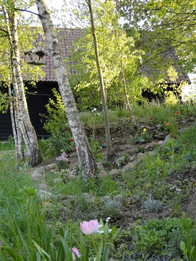 Agroturystyka Zywe Kruklanki Buitenkant foto
