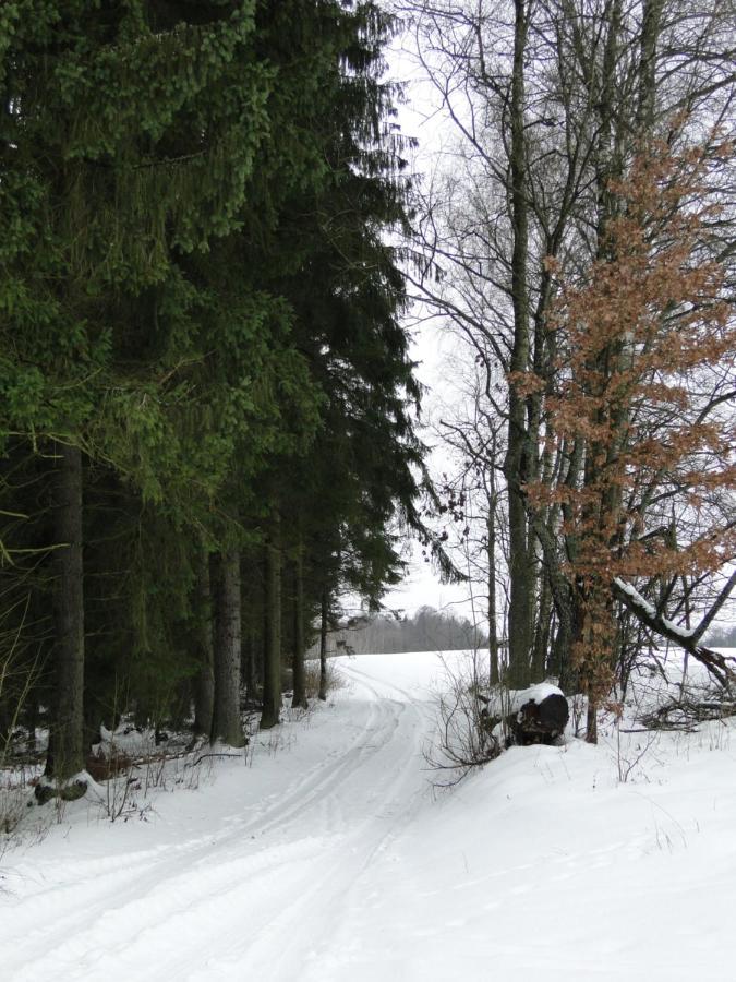 Agroturystyka Zywe Kruklanki Buitenkant foto