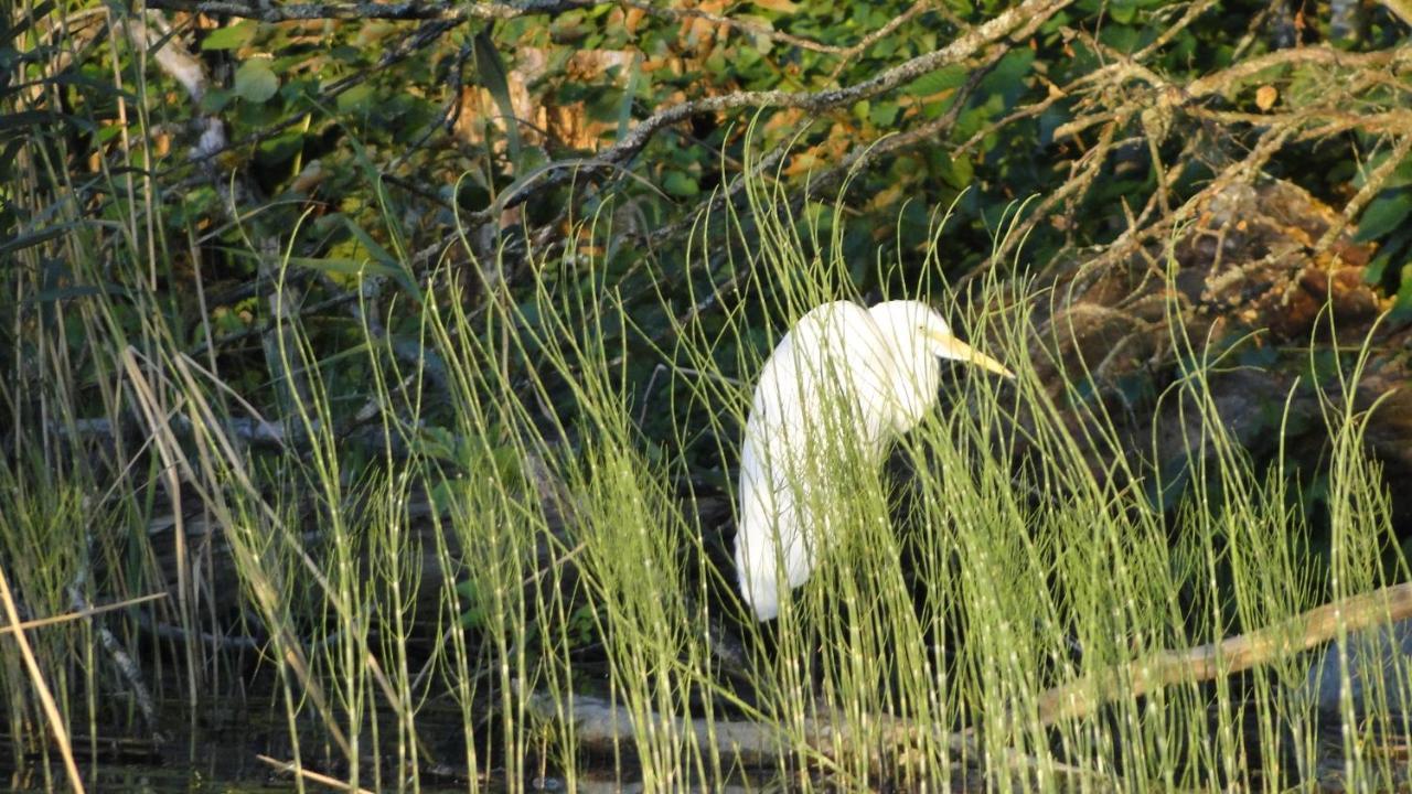 Agroturystyka Zywe Kruklanki Buitenkant foto