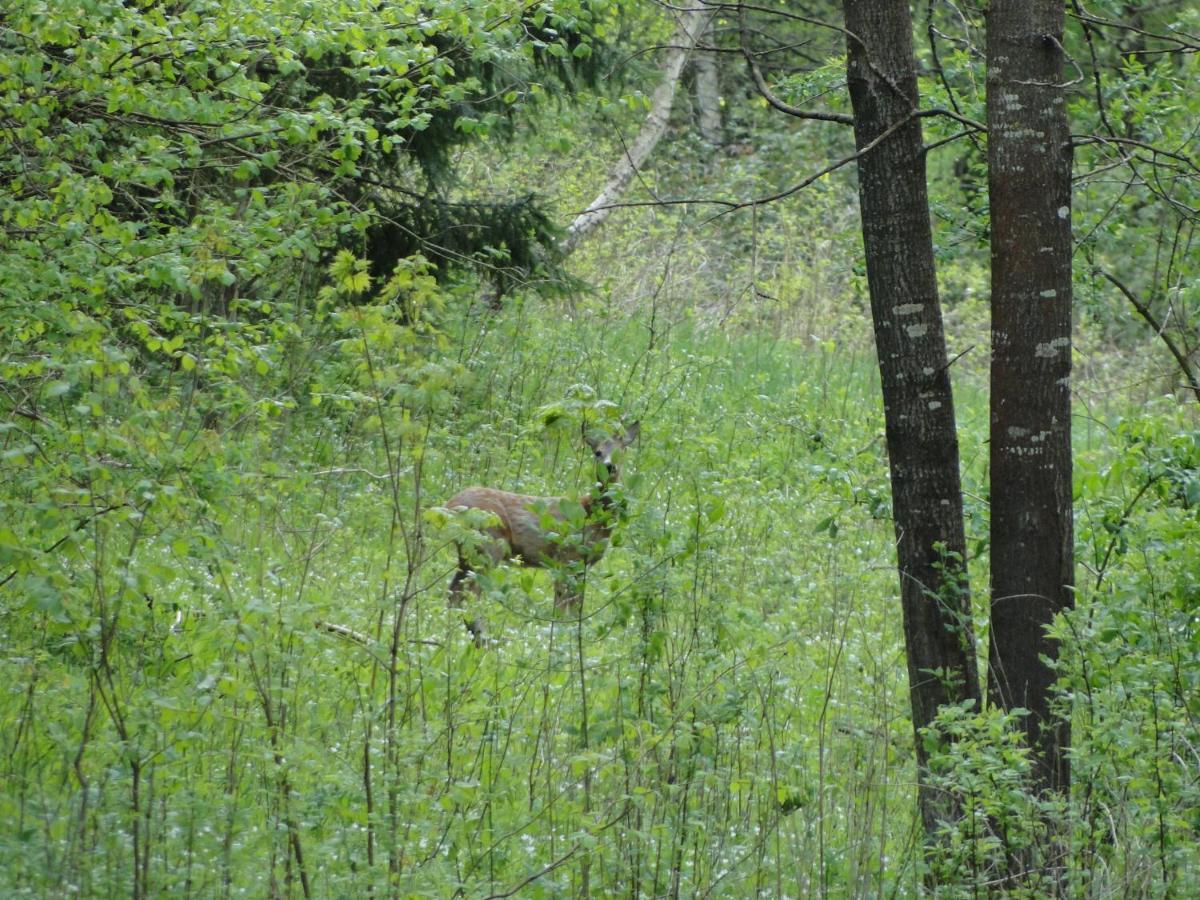 Agroturystyka Zywe Kruklanki Buitenkant foto