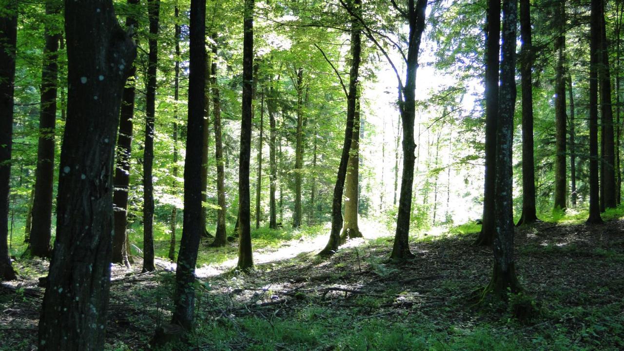 Agroturystyka Zywe Kruklanki Buitenkant foto