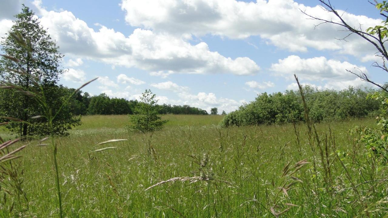 Agroturystyka Zywe Kruklanki Buitenkant foto