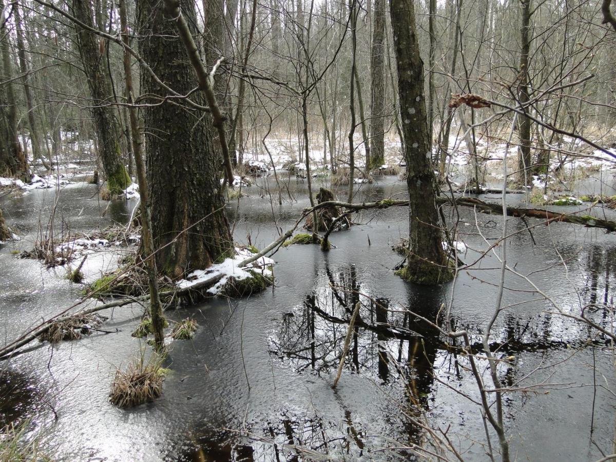 Agroturystyka Zywe Kruklanki Buitenkant foto